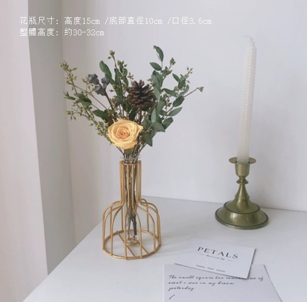 新款風幹花裝飾擺件（金色鐵藝花瓶 蜜桃尤加利）