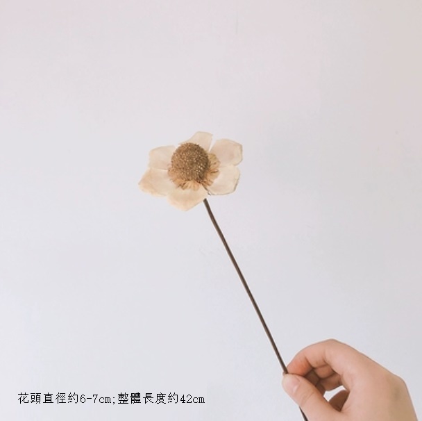 新款diy客廳插花幹花花束（松桐果 一支）