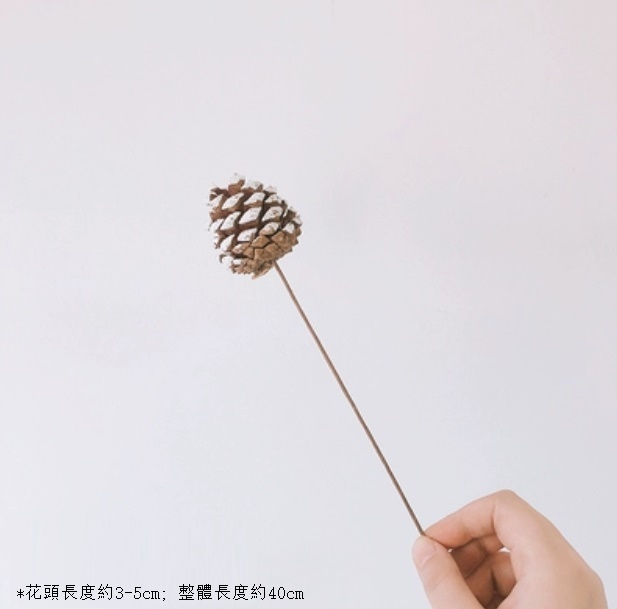 新款diy客廳插花幹花花束（雪松果 一支）