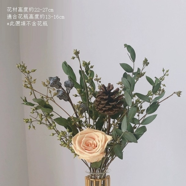 新款風幹花裝飾擺件（不含瓶 蜜桃尤加利）