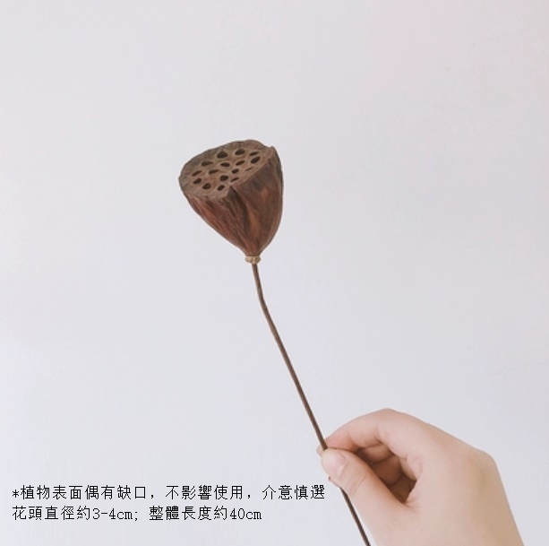 New diy living room flower arrangement dried flower bouquet (one small lotus pod)