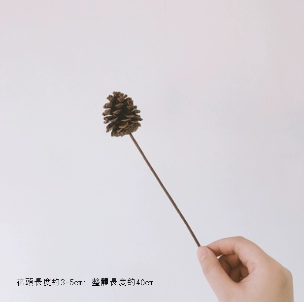 New diy living room flower arrangement dried flower bouquet (one pine cone)