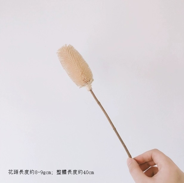 新款diy客廳插花幹花花束（拉毛果 米白色 一支）