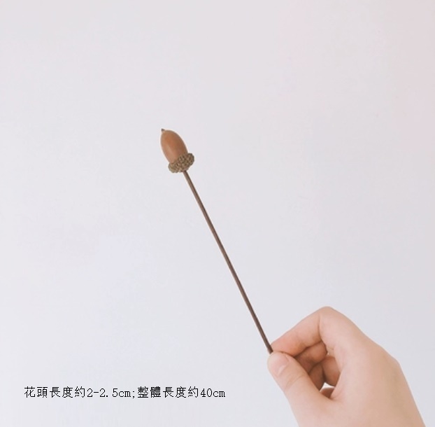 新款diy客廳插花幹花花束（橡栗果 一支）