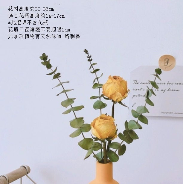 新款莫蘭迪陶瓷小花瓶幹花（不含黃瓶 金玫瑰尤加利）