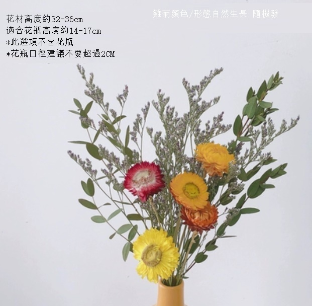 新款莫蘭迪陶瓷小花瓶幹花（不含黃瓶 彩色情人麥稈菊）