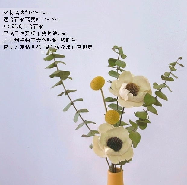新款莫蘭迪陶瓷小花瓶幹花（不含黃瓶 白美人尤加利）