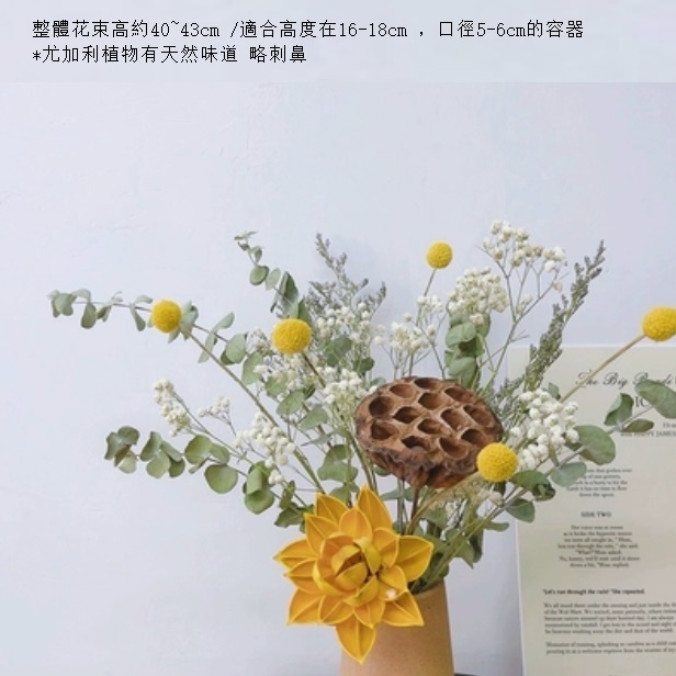 新款幹花花束真花（不含花瓶 荷藕尤加）