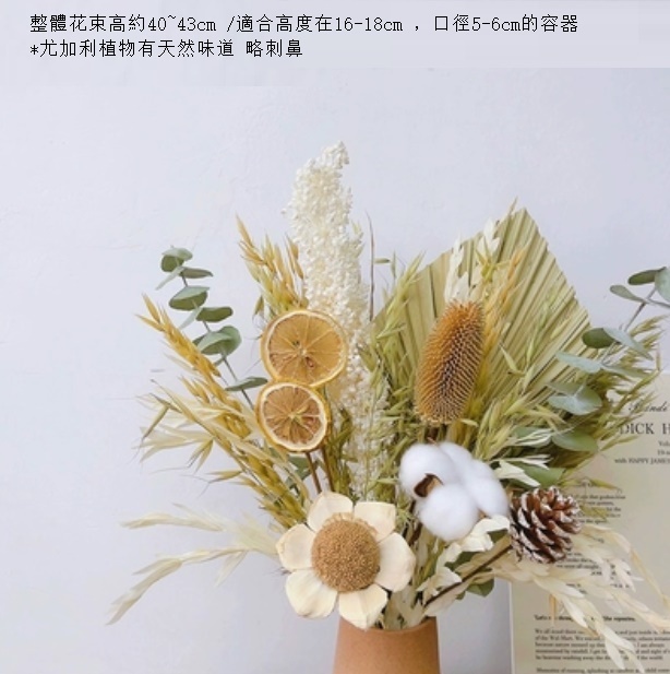 新款幹花花束真花（不含花瓶 檸葉蒲扇）