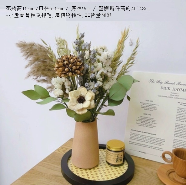 新款幹花花束真花（磨砂棕色花瓶 白勿芒蘆）