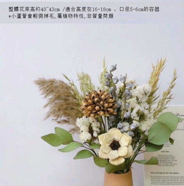 新款幹花花束真花（不含花瓶 白勿芒蘆）