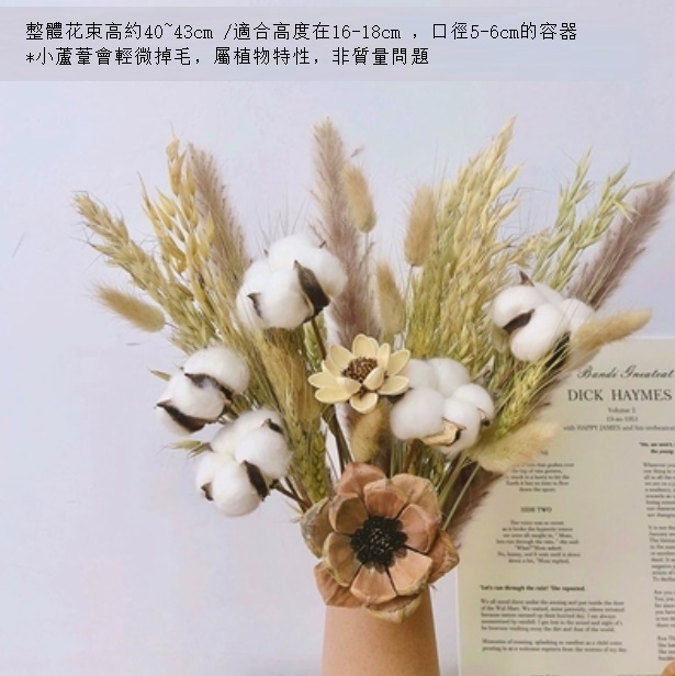 新款幹花花束真花（不含花瓶 咖啡含笑）