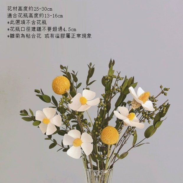 新款家居擺設插花（不含小肚瓶 綠茵小葉白蘭）