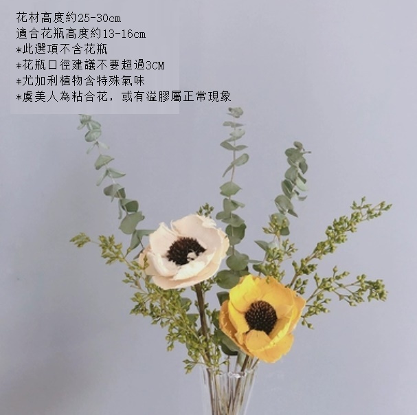 新款家居擺設插花（不含小肚瓶 雙色美人尤加利）