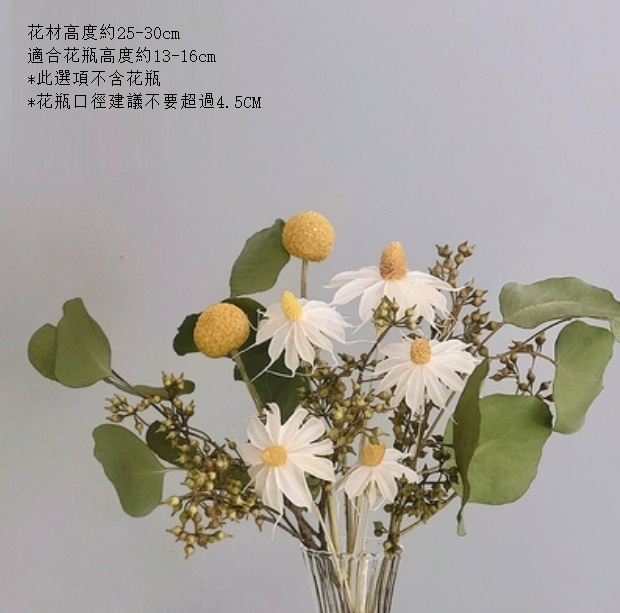 新款家居擺設插花（不含小肚瓶 星蘭圓葉）