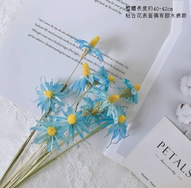 新款文心蘭小雛菊輕奢幹花（藍色文心蘭10支）