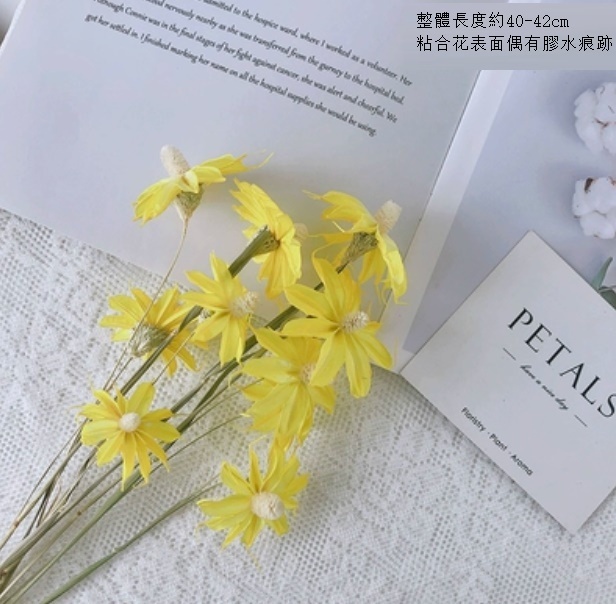 新款文心蘭小雛菊輕奢幹花（黃色文心蘭10支）