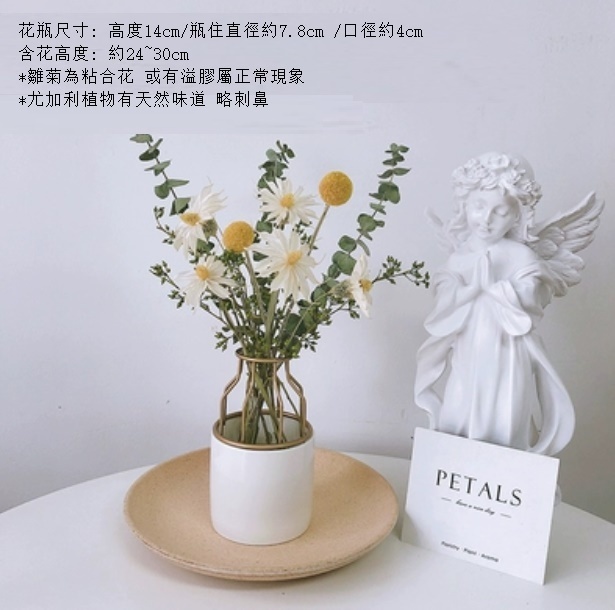 新款真花風幹天然客廳擺設（陶瓷鐵藝瓶 翠菊尤加利）