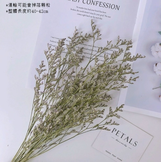 新款文心蘭小雛菊輕奢幹花（一束情人草）