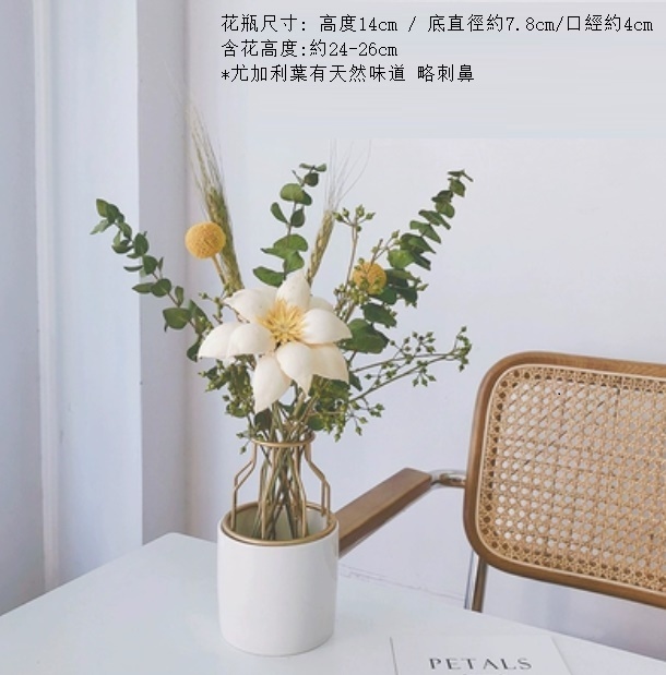 新款真花風幹天然客廳擺設（陶瓷鐵藝瓶 富貴美人尤加利）