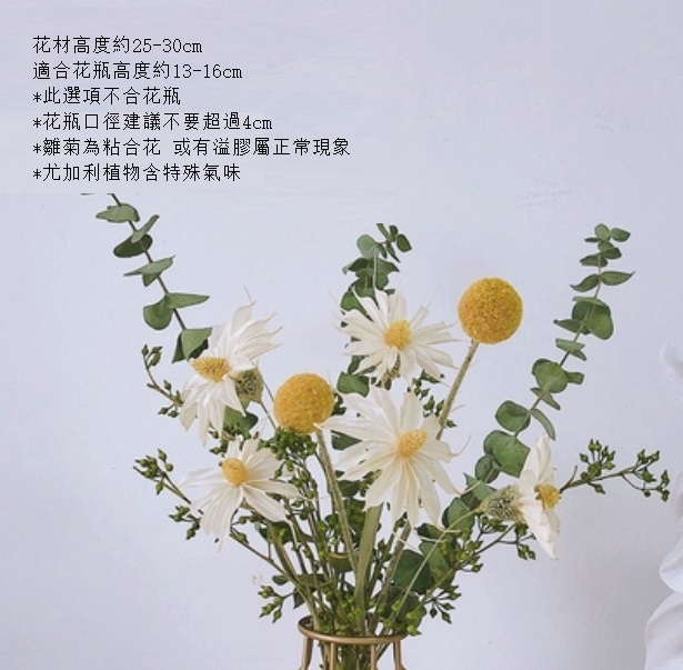 新款真花風幹天然客廳擺設（不含瓶 翠菊尤加利）