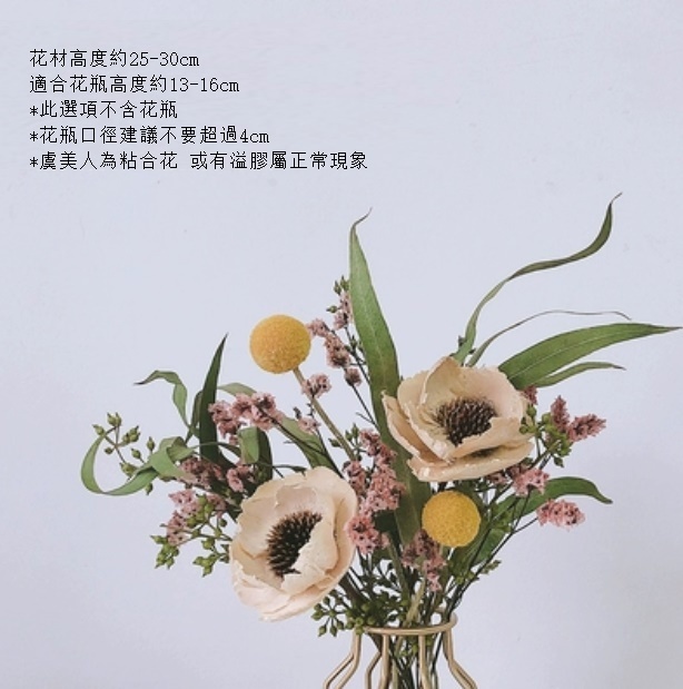 新款真花風幹天然客廳擺設（不含瓶 水晶花虞美人）