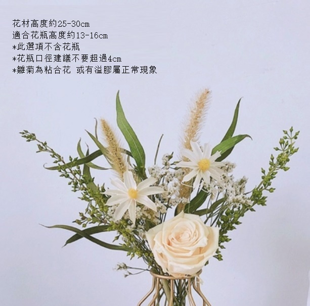 新款真花風幹天然客廳擺設（不含瓶 杏仁奶油小米葉）