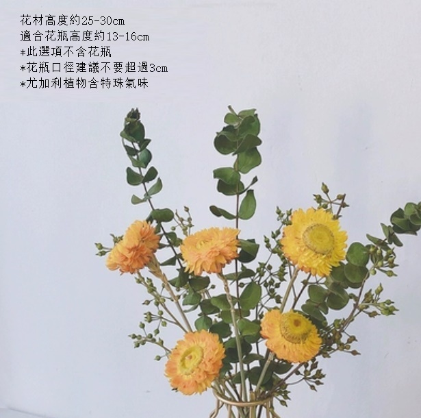 新款真花風幹天然客廳擺設（不含瓶 梵高尤加利）