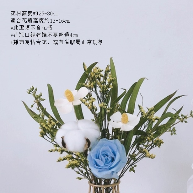 新款真花風幹天然客廳擺設（不含瓶 藍玫瑰小米葉）