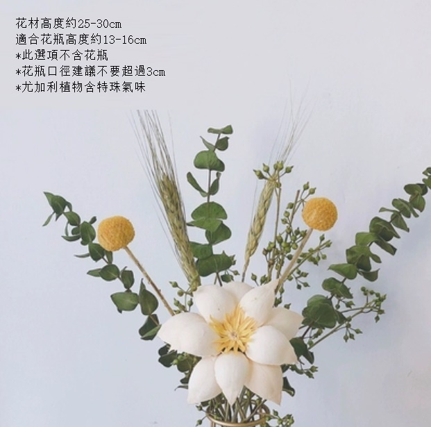 新款真花風幹天然客廳擺設（不含瓶 富貴美人尤加利）