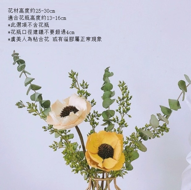 新款真花風幹天然客廳擺設（不含瓶 雙色美人尤加利）