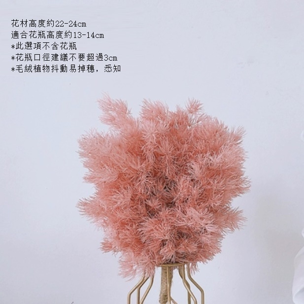 新款真花風幹天然客廳擺設（不含瓶 小粉雪松）
