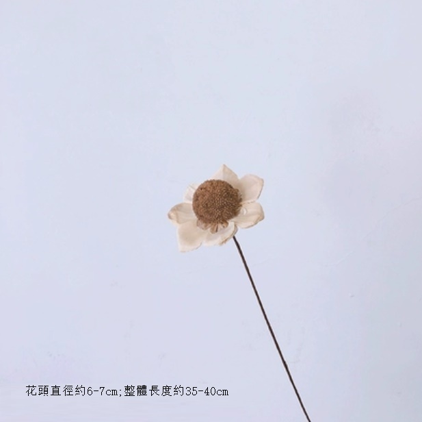 新款真花風幹天然材料客廳擺件（松桐果 一支）