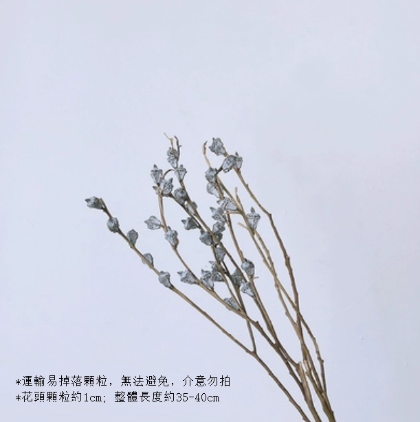 新款真花風幹天然材料客廳擺件（尤加利果 一束）