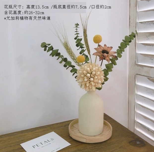 新款永生花客廳擺設真花風幹（粗陶花瓶 白玉蘭球尤加利）