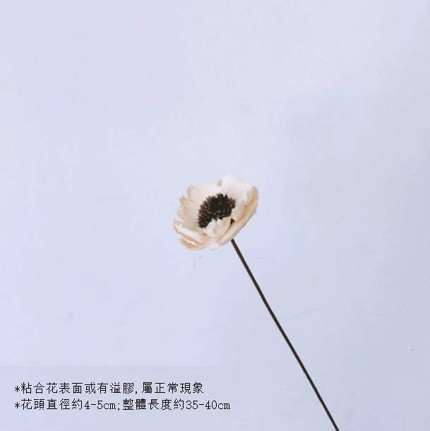 新款真花風幹天然材料客廳擺件（虞美人-米白色 一支）