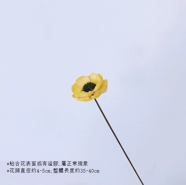 新款真花風幹天然材料客廳擺件（虞美人-黃色 一支）