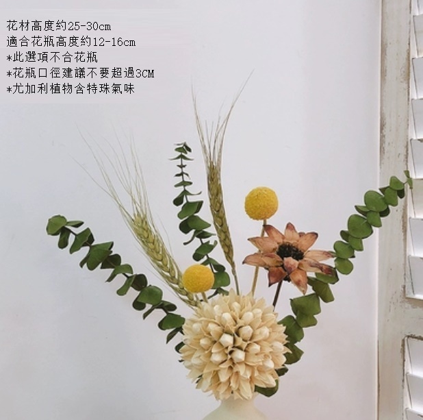 新款永生花客廳擺設真花風幹（不含粗陶花瓶 白玉蘭球尤加利）
