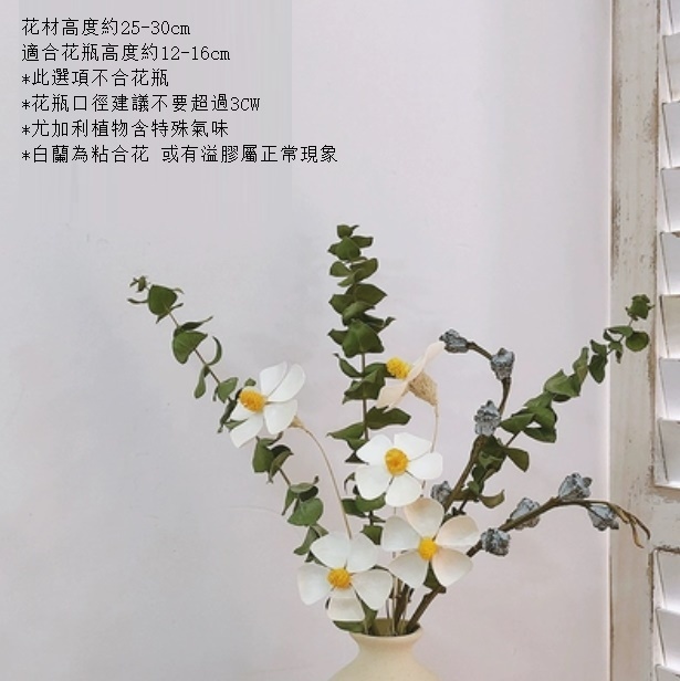 新款永生花客廳擺設真花風幹（不含粗陶花瓶 白蘭尤加利）