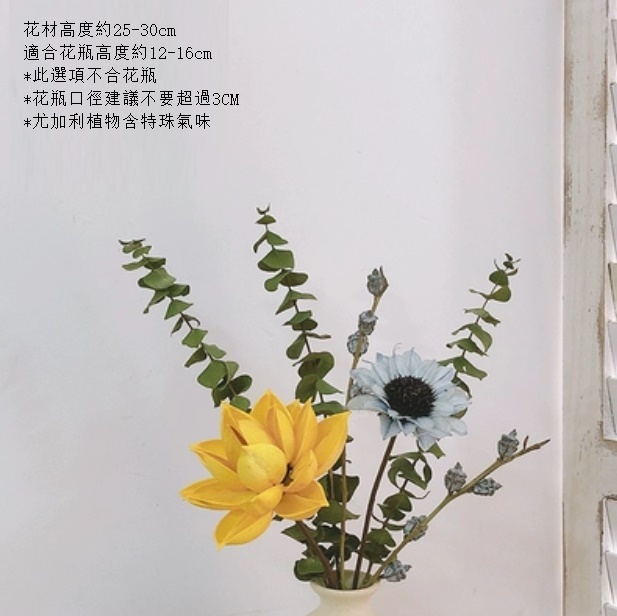 新款永生花客廳擺設真花風幹（不含粗陶花瓶 木蓮藍菊尤加利）