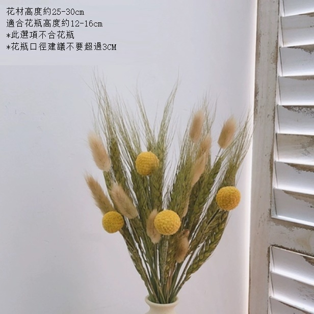 新款永生花客廳擺設真花風幹（不含粗陶花瓶 稻香）