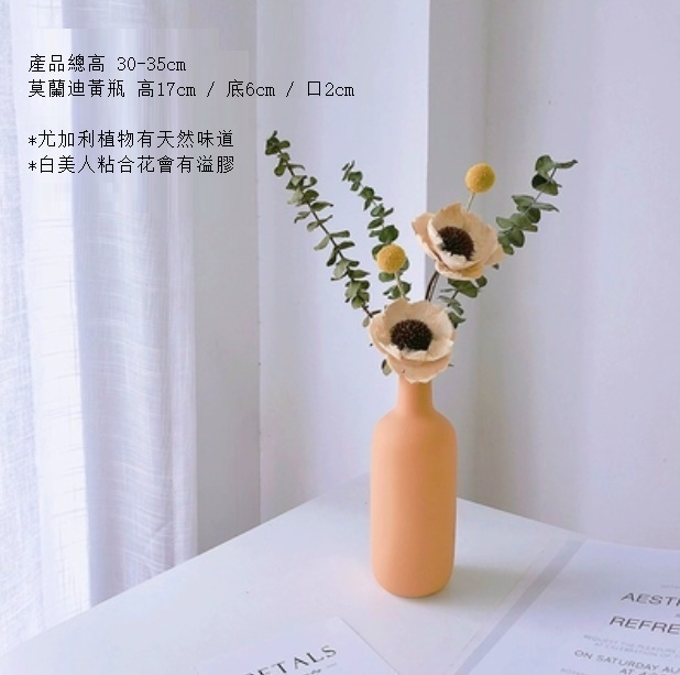 新款松果尤加利輕奢幹花（莫蘭迪黃瓶 白美人尤加利）