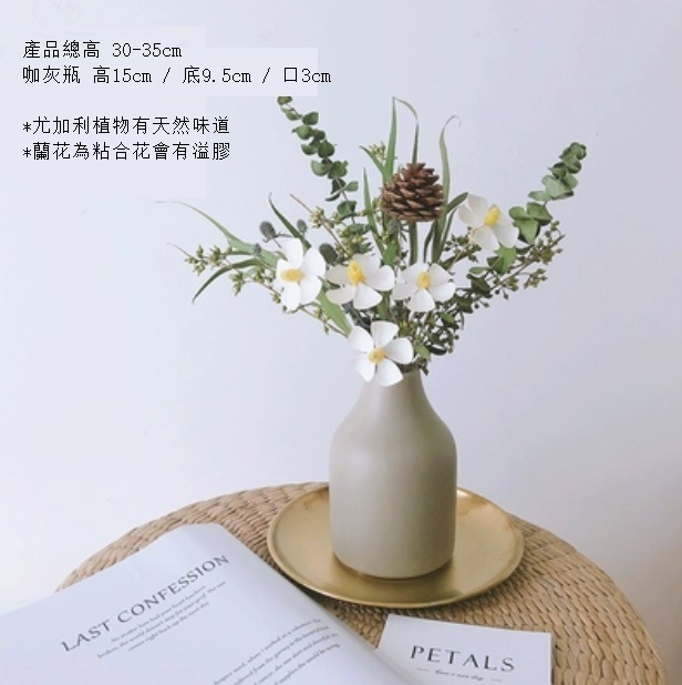 新款松果尤加利輕奢幹花（含咖灰瓶 羅蘭松）