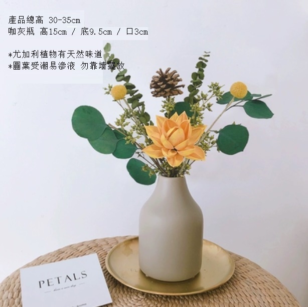 新款松果尤加利輕奢幹花（含咖灰瓶 木荷松）