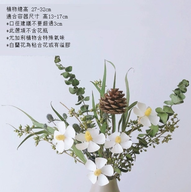 新款松果尤加利輕奢幹花（不含瓶 羅蘭松）