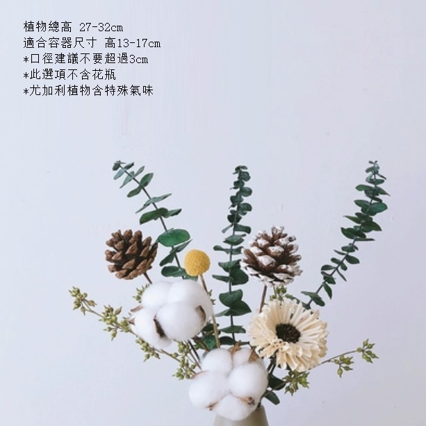 新款松果尤加利輕奢幹花（不含瓶 綿綿松）