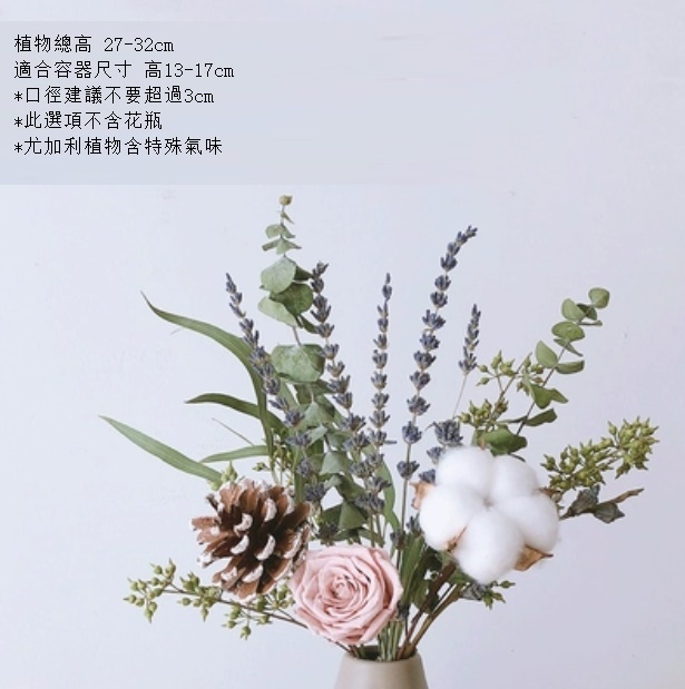 新款松果尤加利輕奢幹花（不含瓶 熏衣松）