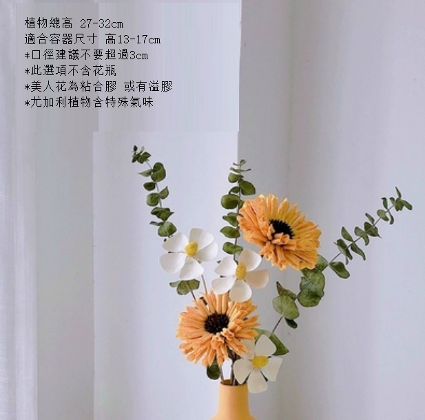 新款松果尤加利輕奢幹花（不含瓶 馬蹄蓮尤加利）