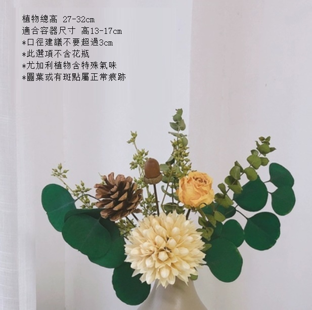 新款松果尤加利輕奢幹花（不含瓶 花球松）