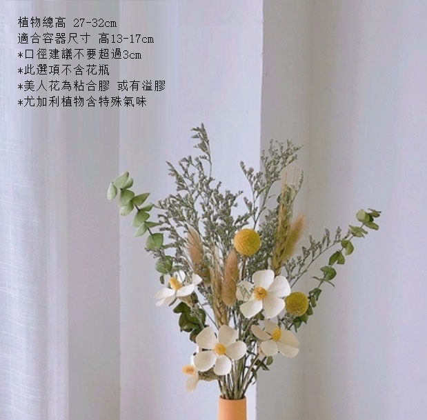 新款松果尤加利輕奢幹花（不含瓶 情人蘭）